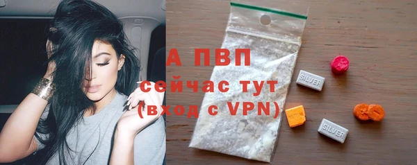 стафф Беломорск