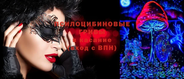 мдпв Белокуриха