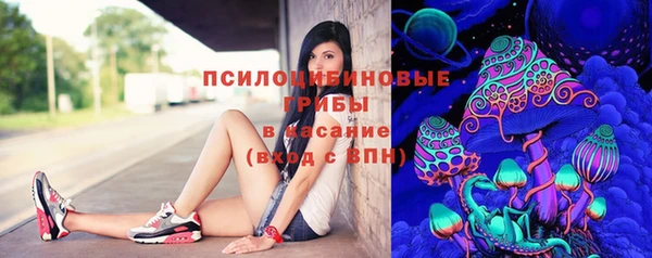 стафф Беломорск