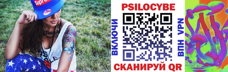 Галлюциногенные грибы Psilocybine cubensis  Купить где  Опочка 